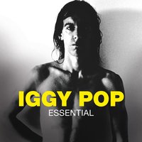 Louie Louie - Iggy Pop
