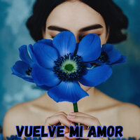 Vuelve Mi Amor - Sentimiento Clásico Trío & Congregación María De Jesús