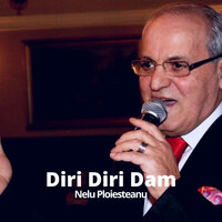Anii Mei Si Tineretea - Nelu Ploiesteanu