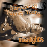 Fool in Love - The Moonlights