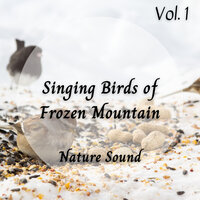 World Of Nature - Binaural Landscapes & Super Natural & Music for Work