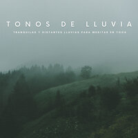 Música De Bosque - Tormentas Naturales & Lluvia PQ & Paz Nirvana