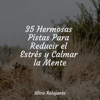 Delicias Hipnóticas - Sonidos De La Naturaleza & Musica relajante & Canciones Para Niños