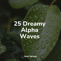 Small Waves Crashing - Organic Nature Sounds & Rain Spa & Meditation Music Experience