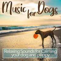Dream On - Relax My Dog Music & Dog Music Therapy & Dog Music Dreams