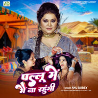 Pallu Me Mai Na Rahungi - Anu Dubey