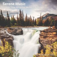 Later - Peaceful Music & Entspannungsmusik & Yoga Music