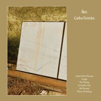 Fragile - Carlos Ferreira
