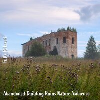 Abandoned Building Ruins Nature Ambience, Pt. 11 - Steve Brassel