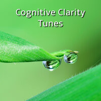 Intense Concentration Tracks - Espiritual Elevación