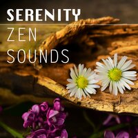 Spring Equinox - Zen Meditation Orchestra