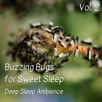 Guided Meditation For Sleep - White Noise Sleep Sounds & White Noise Spa & Calming for Dogs