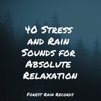 Rain, Light Metal, Window Pane - 125 Nature Sounds & Kinderlieder-Superstar & Nature Noise