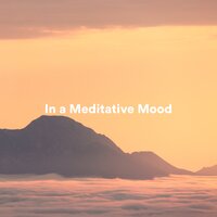 Zen Ambitions - Ontspanning En Meditatie Voor Mij & Meditation Ambience & Yoga Muziek