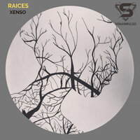 Raices - Xenso
