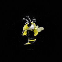 Хулиганы - The Iron Bees & Проект ОИ