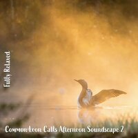 Common Loon Calls Afternoon Soundscape, Pt. 1 - Steve Brassel