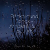 Crashing Waves - Calm Down & Wellness & Sleep Rain