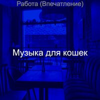 Впечатление (Офисы) - Музыка для кошек