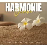Musique de Fond pour Massage - Detente Spa Musique Collection
