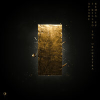 Never Change - Apashe & Ymir & The Caracal Project