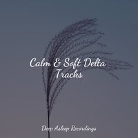 Have a Little Snooze - Best Kids Songs & The Sleep Specialist & mindfulness meditation world