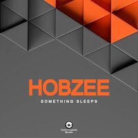 Not Lost Forever - Hobzee