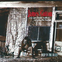 All Walks Of Life - James Cotton