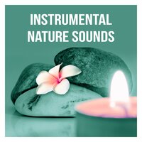 Deep Sleep Music - Massage Sanctuary