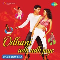 Odhani - Sanjay Sawant
