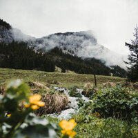 Constant Rains - Saludo al Sol Sonido Relajante & The Sleep Principle & Rain Makers