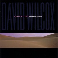 Wild Child - David Wilcox