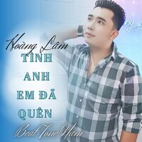 Tình Anh Em Đã Quên - Hoàng Lâm & Tone Nam
