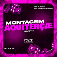 Montagem Aquiterçæ Mulīṭifīč̣a - DJ SLK 011 & MC PRISCILA DE OZ & MC Furi SP