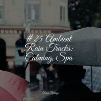 White Noise Rainy Boats - A Sudden Rainstorm & Unforgettable Paradise SPA Music Academy & Avslappning Sound