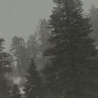 fuck a nice greeting - juxpls