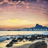 Musicas Instrumentais para Relaxar - Relaxamento Soundscape