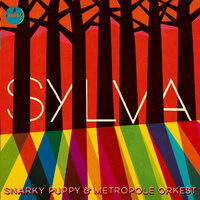 Flight - Snarky Puppy & Metropole Orkest