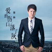 爱的伤口落了灰 - 暴林