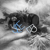 Lucid Alchemy - Deep Sleep Music Maestro & Bedtime Lullabies & Music For Absolute Sleep