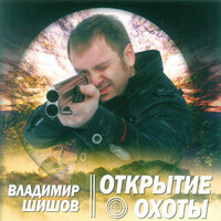 Когда ты приедешь... - Владимир Шишов