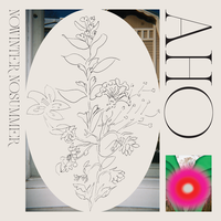 If_Only_I_Could_Be_So_Grossly_Incandescent - Aho