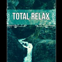 Insomnia Cure - Calming Music Ensemble