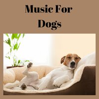 Zen Paws - Music for Dogs & Music for Dogs Peace & Relaxing Puppy Music & Calm Pets Music Academy