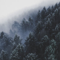 Rain Showers - The Rain Library & Water Science & Spa