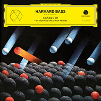 81 - Harvard Bass