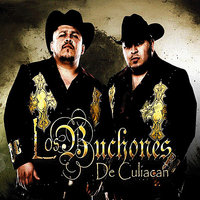 Los Caballeros del Diablo - Los Buchones De Culiacan