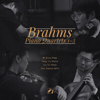 Piano Quartet in C Minor, Op. 60 No. 3: III. Andante - Cao Fei & Wu Qiong & Zhang Jia & Zhao Yunpeng & Иоганнес Брамс