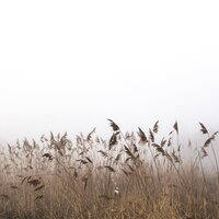 Seda Sobre El Agua - Massagem Música & Masaje Relajante Masters & Fabricantes De Lluvia