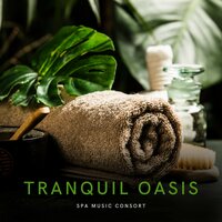 Serene Evening Streams - Ambient Music Collective